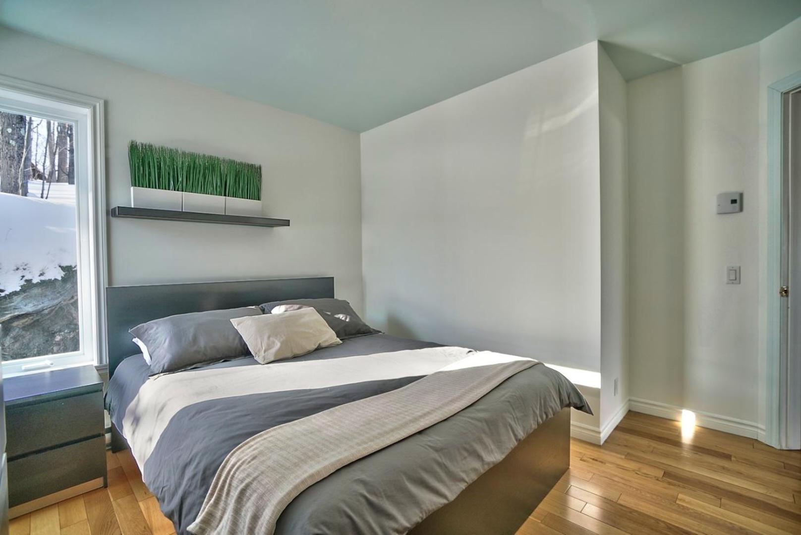 Dynamite 2-Bedroom House, Garage, Sleeps 6 Sherbrooke Extérieur photo
